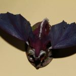 10631228 1072712509427031 3476986893277348254 o