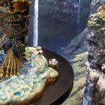 143369543 3965501846814735 3259576278284588655 n