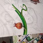 17390838 1531566696874941 6281967329777157032 o