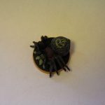 1974354 741941712504114 610019761 o