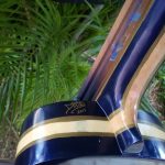 56371110 2370511839647085 6628288204598411264 n